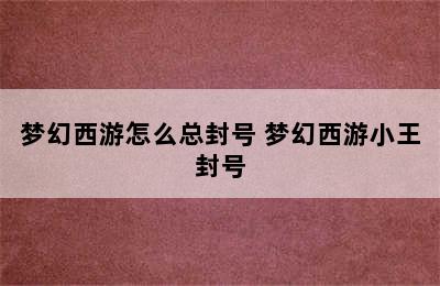 梦幻西游怎么总封号 梦幻西游小王封号